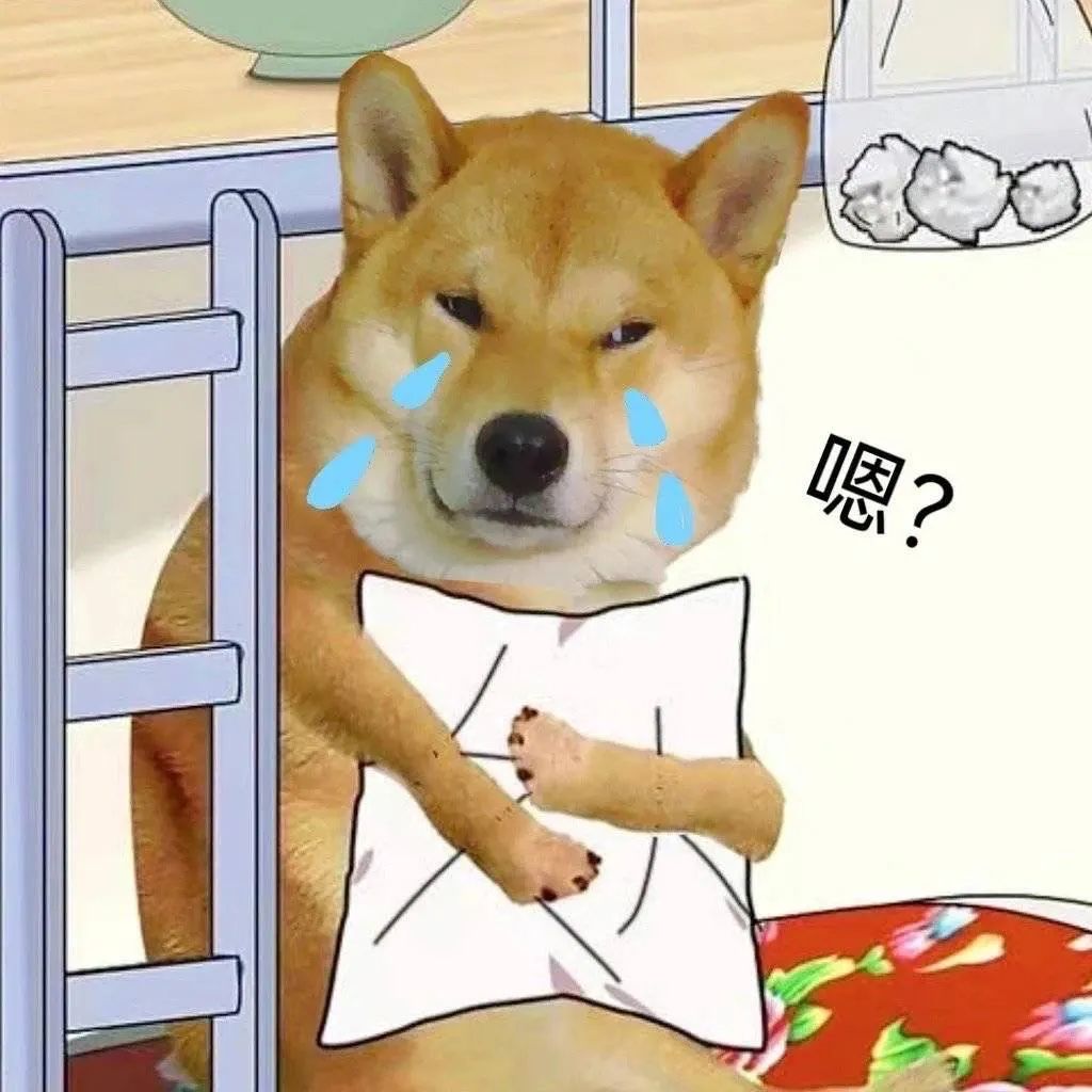 图片[27]-中午好 发表情啦-喜欢表情包分享—全网表情包