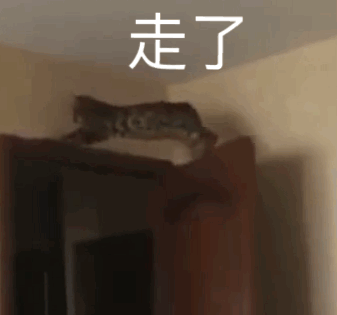 图片[18]-表情包-喜欢表情包分享—全网表情包