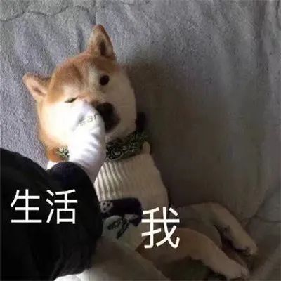 图片[2]-那些笑死人的沙雕表情包-喜欢表情包分享—全网表情包