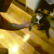 图片[1]-【GIF】谁不喜欢举高高呢-喜欢表情包分享—全网表情包
