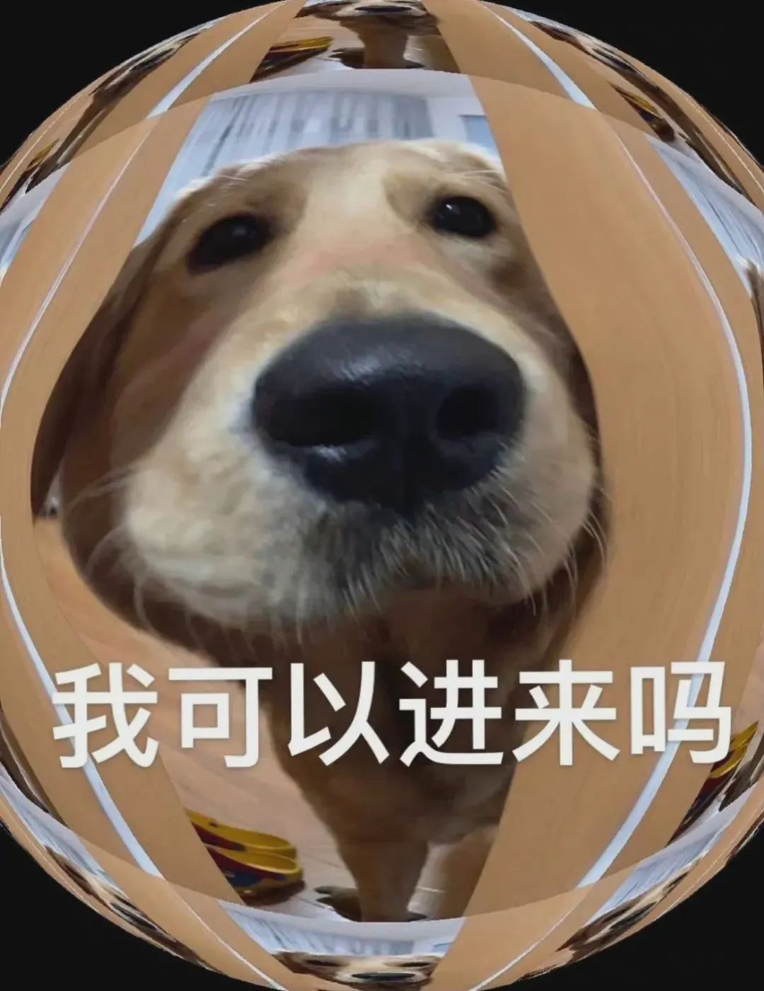 图片[8]-老子要亲死你-喜欢表情包分享—全网表情包
