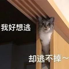 图片[36]-我能和你用情侣头像吗-喜欢表情包分享—全网表情包
