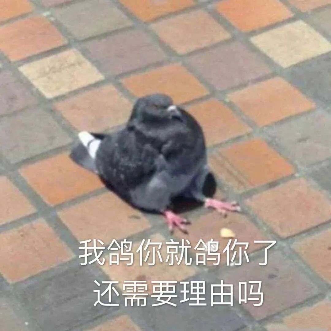 图片[1]-表情包：哦吼，还有这么个事？！-喜欢表情包分享—全网表情包