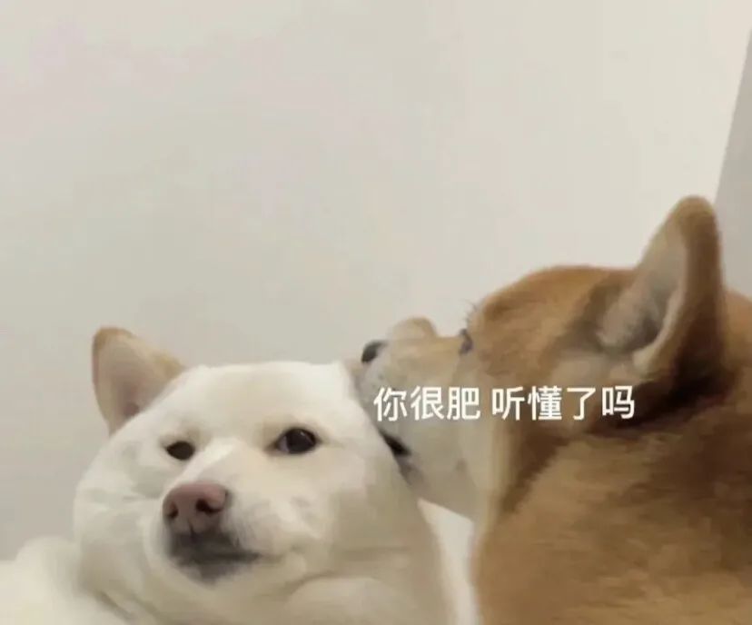 图片[11]-表情包-喜欢表情包分享—全网表情包