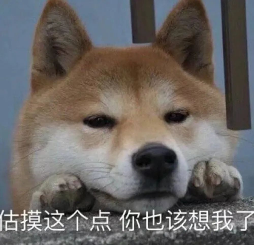 图片[8]-表情包-喜欢表情包分享—全网表情包