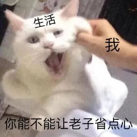 图片[12]-我闭眼了，你快亲我-喜欢表情包分享—全网表情包