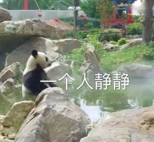 图片[13]-奇怪的表情增加了-喜欢表情包分享—全网表情包