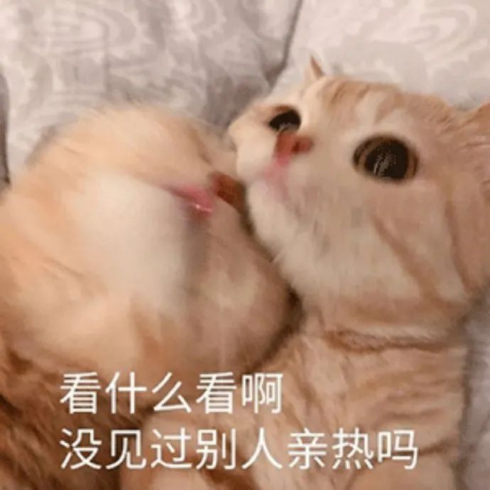 图片[2]-没见过别人亲热吗-喜欢表情包分享—全网表情包
