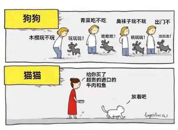 图片[4]-今日份沙雕图-喜欢表情包分享—全网表情包