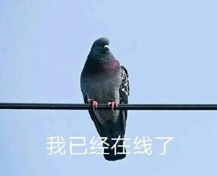 图片[7]-奇怪的表情增加了-喜欢表情包分享—全网表情包
