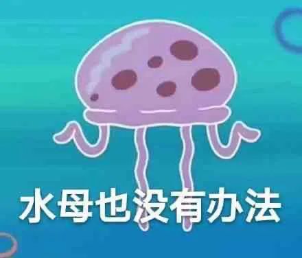 图片[13]-有点意思-喜欢表情包分享—全网表情包