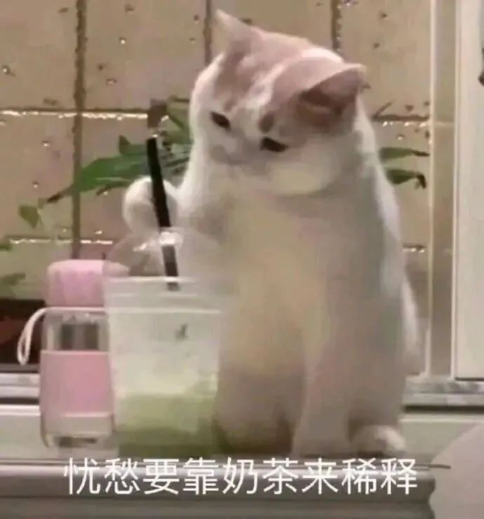 图片[30]-栓 Q 您嘞-喜欢表情包分享—全网表情包