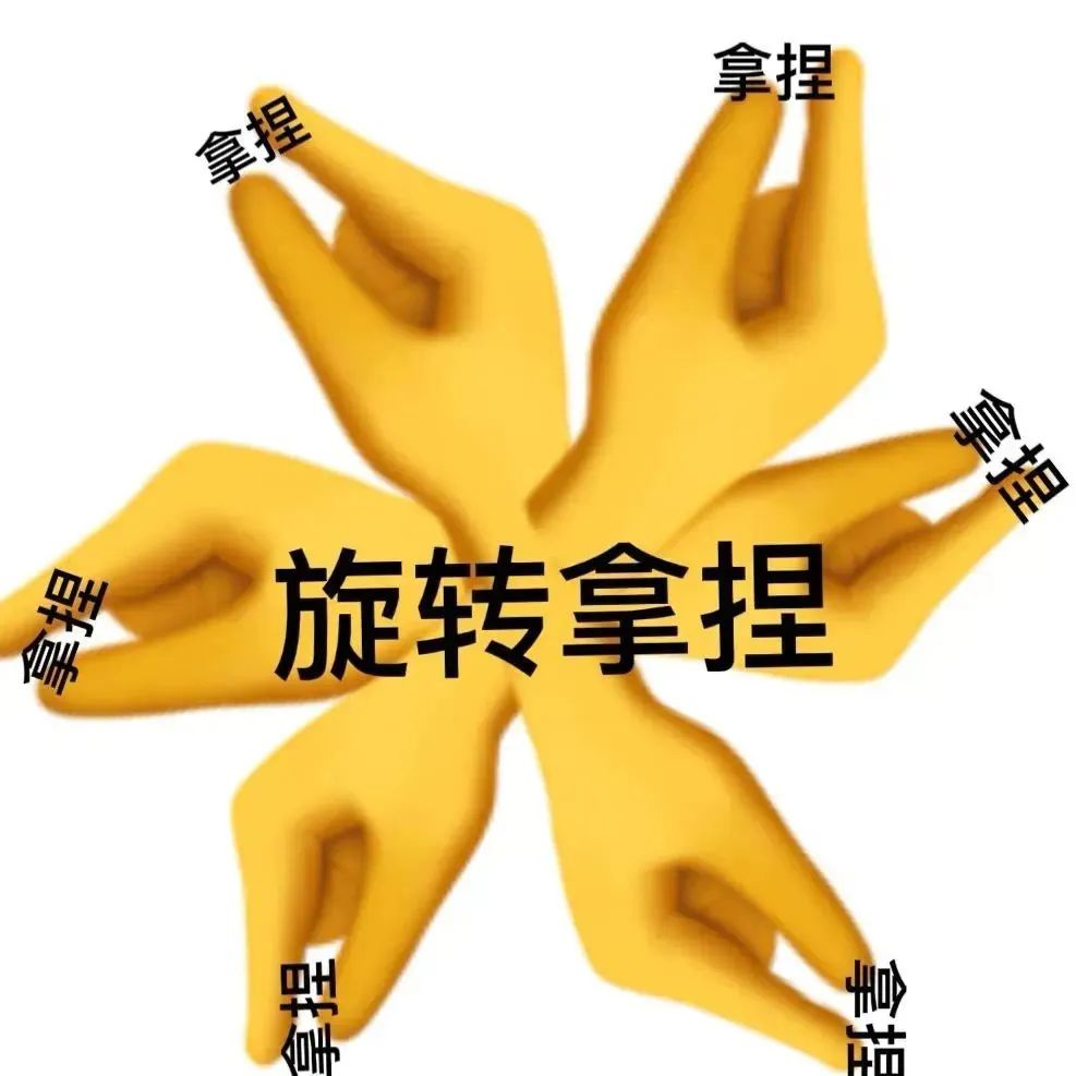 图片[3]-旋转拿捏-喜欢表情包分享—全网表情包