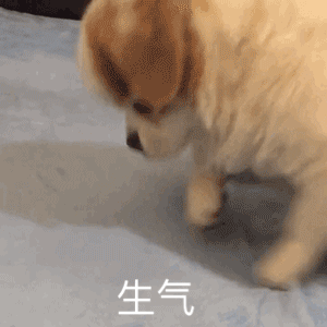 图片[57]-宝！亲我这里！-喜欢表情包分享—全网表情包