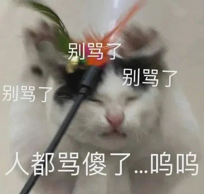 图片[27]-开摆-喜欢表情包分享—全网表情包