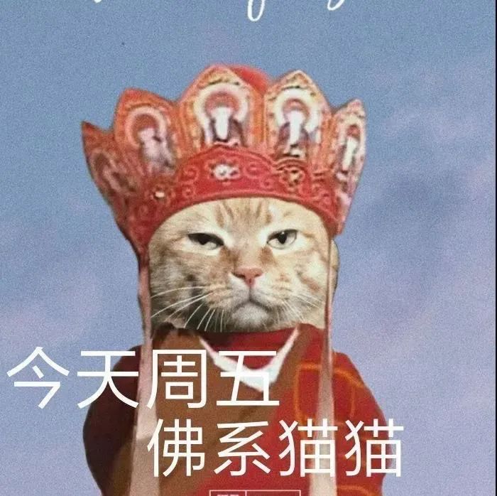 图片[5]-奇怪的表情增加了-喜欢表情包分享—全网表情包