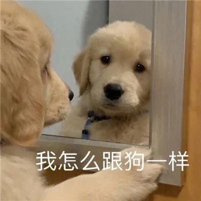 图片[3]-笑死人巨沙雕的聊天表情-喜欢表情包分享—全网表情包