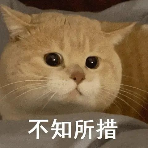 图片[29]-表情包 | 女人啊，还是要哄~-喜欢表情包分享—全网表情包