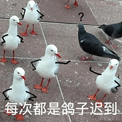 图片[19]-我猜你在拉屎-喜欢表情包分享—全网表情包