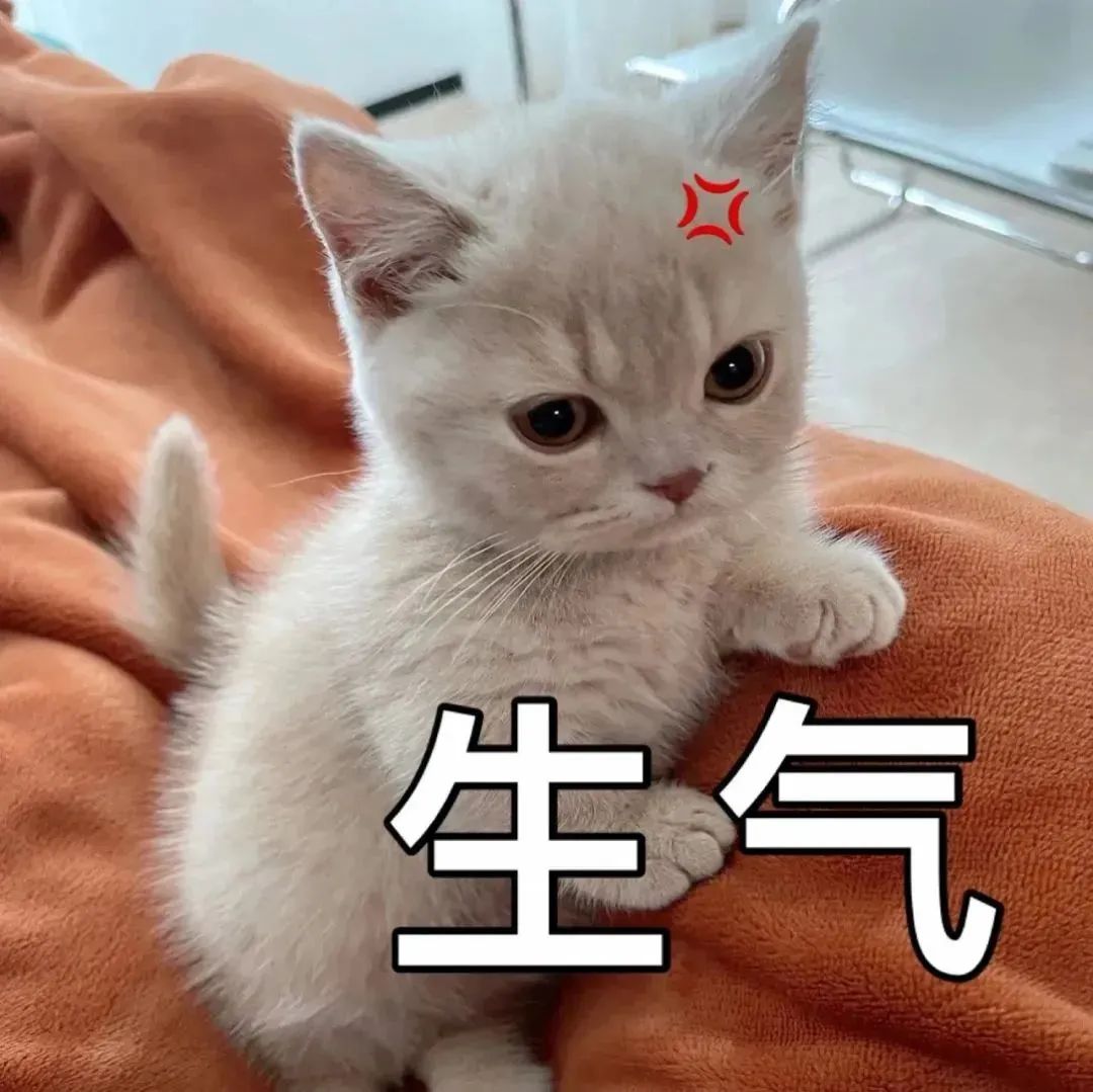 图片[8]-闭嘴吧你-喜欢表情包分享—全网表情包