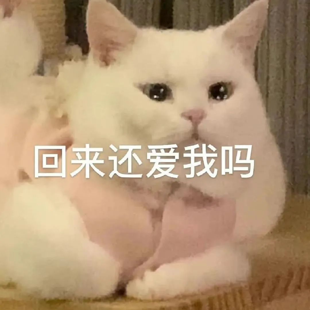 图片[8]-伤心流泪猫猫头表情包-喜欢表情包分享—全网表情包