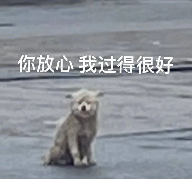 图片[12]-你在狂什么-喜欢表情包分享—全网表情包