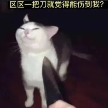图片[23]-就你，给我看看你腹肌-喜欢表情包分享—全网表情包