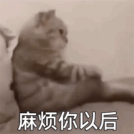 c369319d10237990d48a51eb6d0610fe