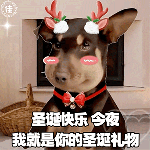 图片[1]-圣诞快乐-喜欢表情包分享—全网表情包