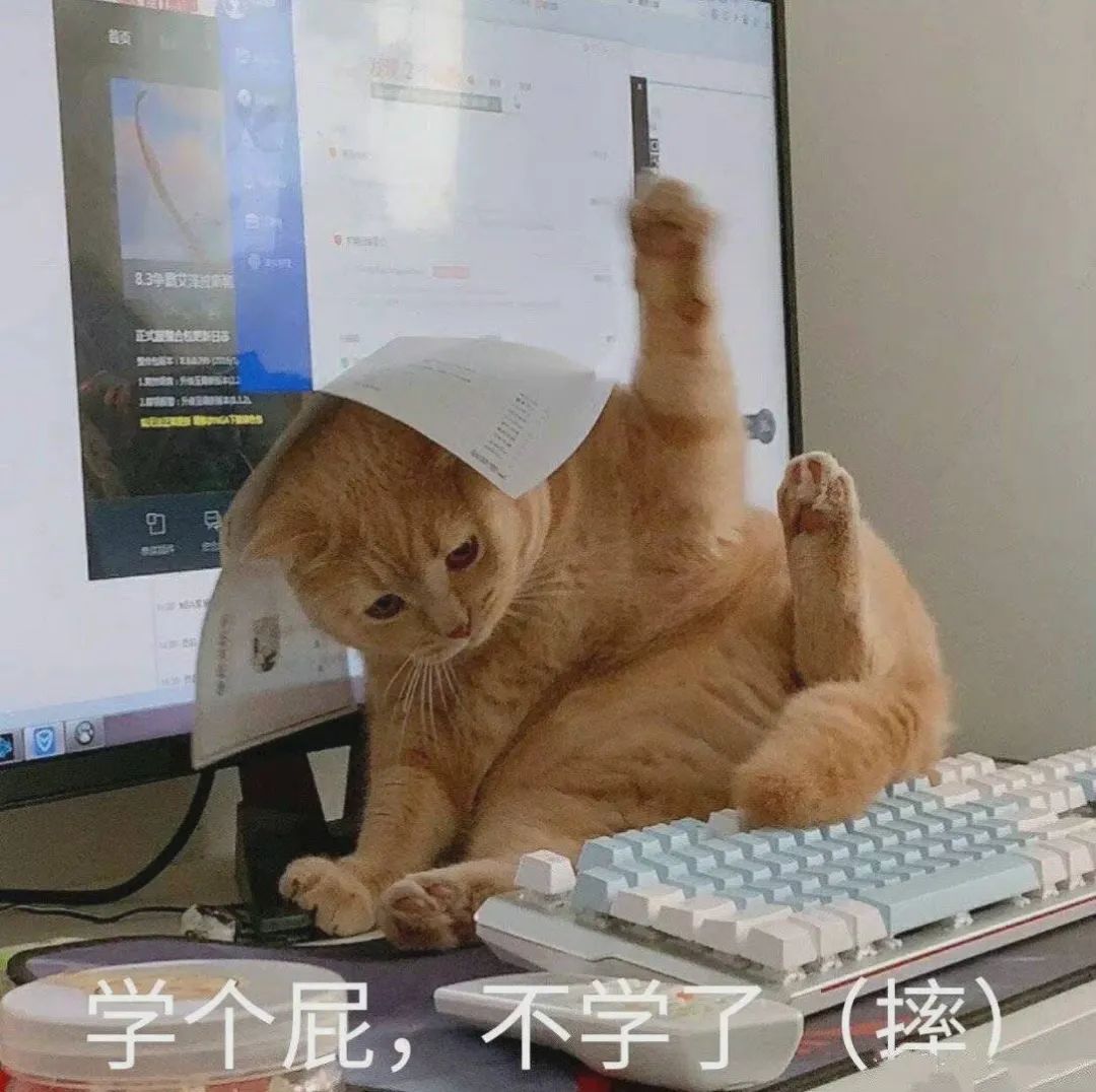 图片[13]-可爱的猫猫狗勾表情增加了-喜欢表情包分享—全网表情包