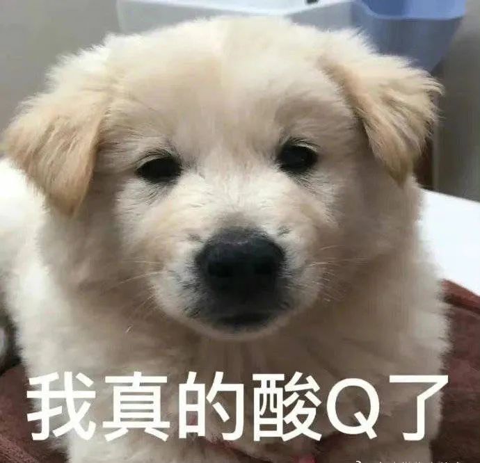 图片[18]-相当优秀-喜欢表情包分享—全网表情包
