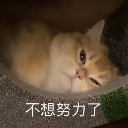 图片[14]-表情包-喜欢表情包分享—全网表情包