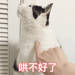 图片[63]-宝！亲我这里！-喜欢表情包分享—全网表情包