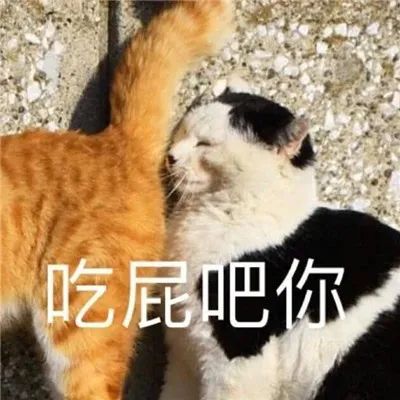 图片[7]-那些笑死人的沙雕表情包-喜欢表情包分享—全网表情包
