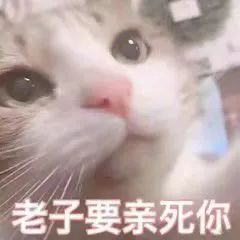 图片[12]-老子要亲死你-喜欢表情包分享—全网表情包