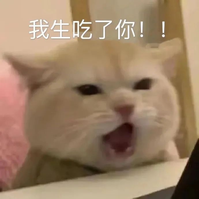 图片[9]-表情包-喜欢表情包分享—全网表情包