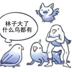 图片[6]-最近热门鸟语表情-喜欢表情包分享—全网表情包