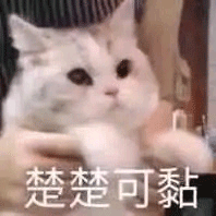 图片[6]-沙雕表情包-喜欢表情包分享—全网表情包