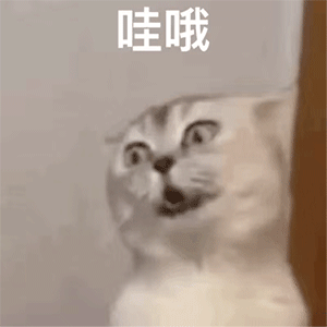 图片[5]-闪开，爷劈死你-喜欢表情包分享—全网表情包