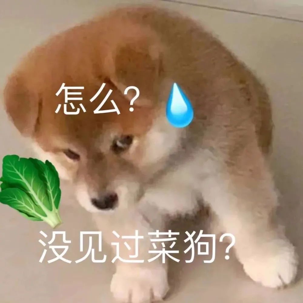 图片[20]-超级可爱的小表情包~-喜欢表情包分享—全网表情包
