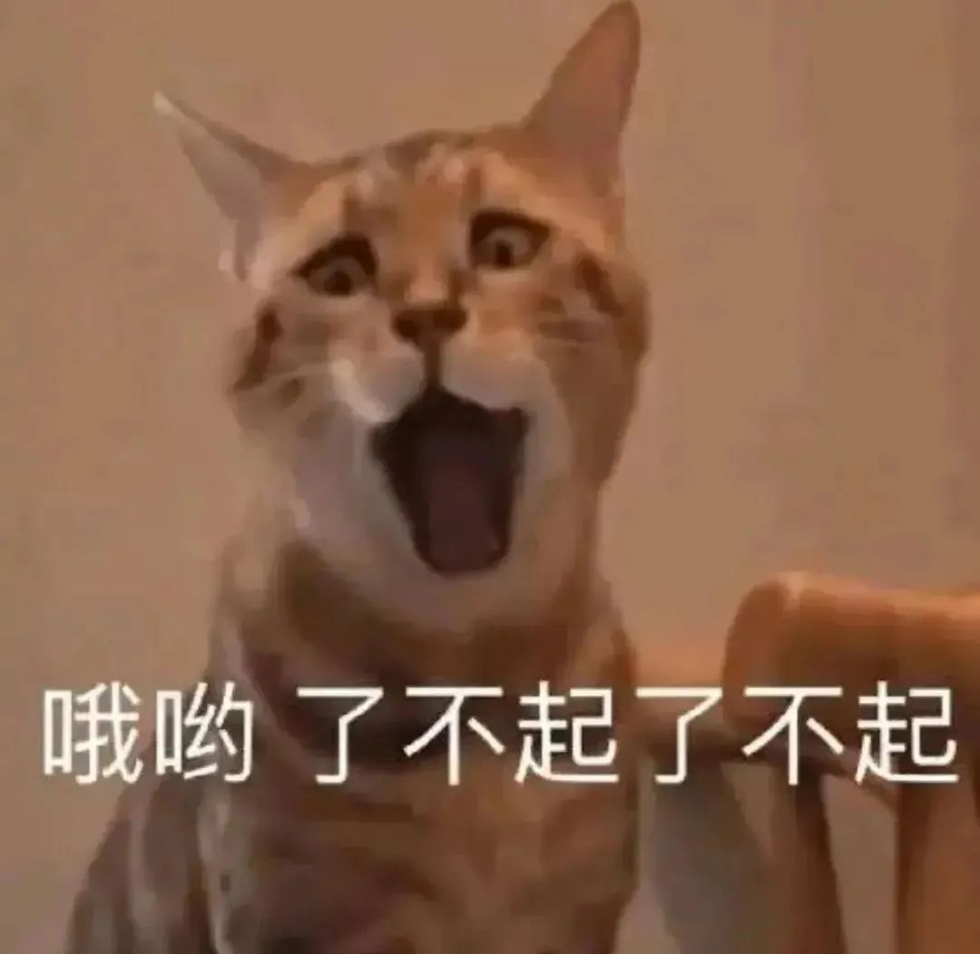 图片[2]-社交牛逼症表情包-喜欢表情包分享—全网表情包