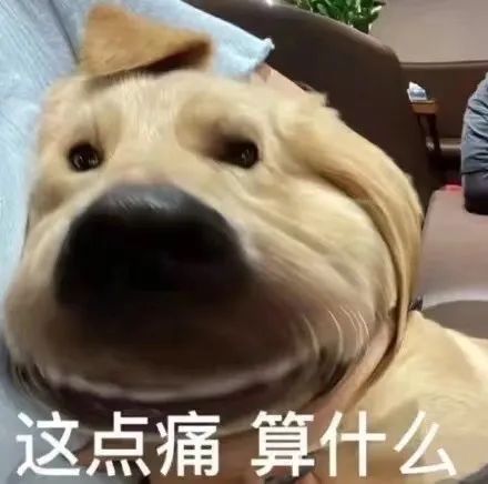 图片[9]-表情包-喜欢表情包分享—全网表情包