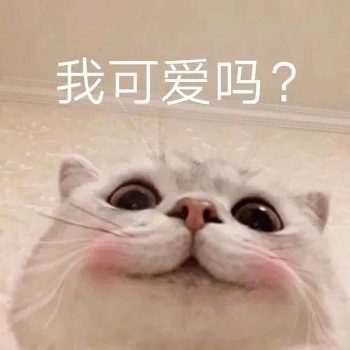 图片[24]-只想做你一个人的舔狗-喜欢表情包分享—全网表情包