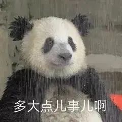 图片[10]-表情包-喜欢表情包分享—全网表情包