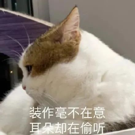 图片[13]-表情包-喜欢表情包分享—全网表情包