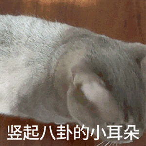 图片[27]-60个沙雕聊天斗图表情包-喜欢表情包分享—全网表情包