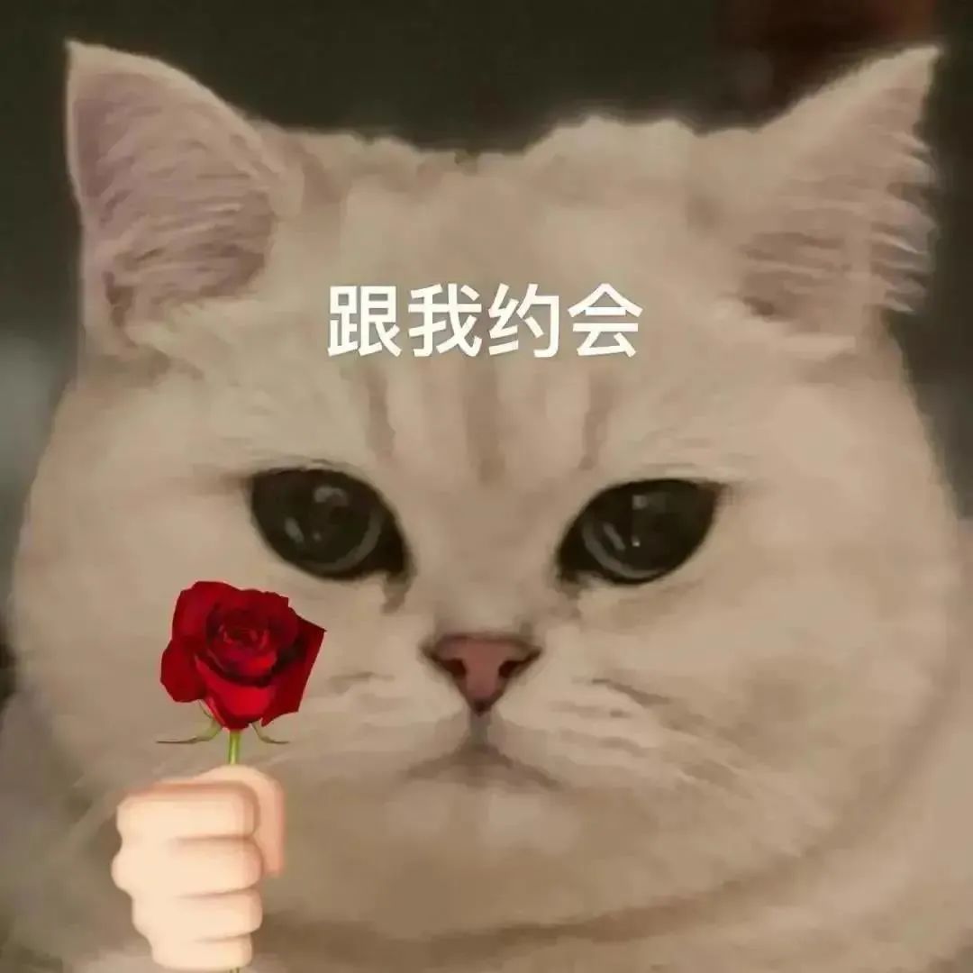 图片[30]-我能和你用情侣头像吗-喜欢表情包分享—全网表情包