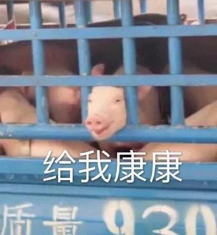 图片[20]-只想做你一个人的舔狗-喜欢表情包分享—全网表情包