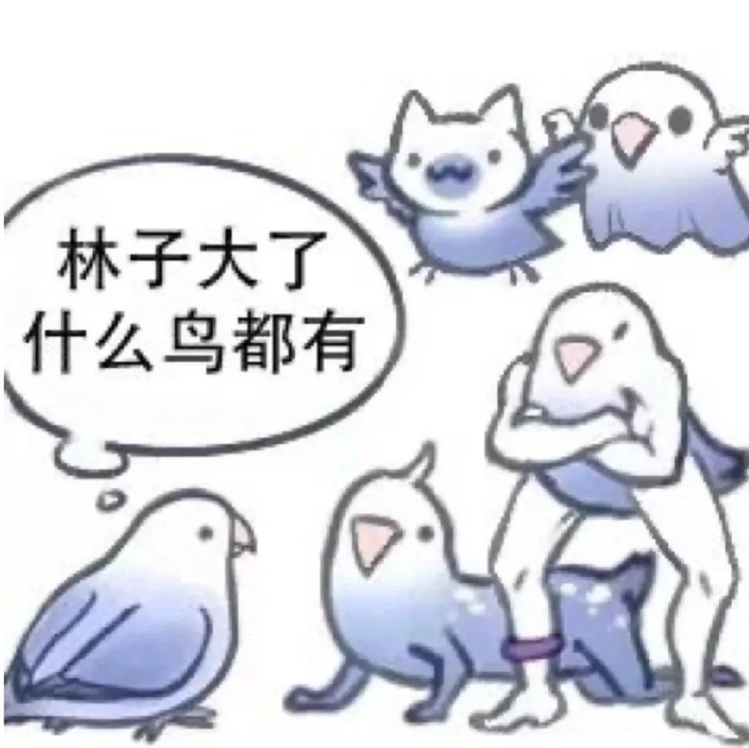 图片[7]-我可以青柠吗-喜欢表情包分享—全网表情包
