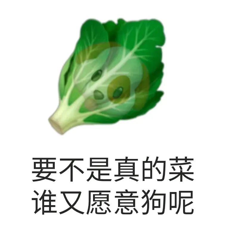 图片[21]-可以进你被窝吗？-喜欢表情包分享—全网表情包
